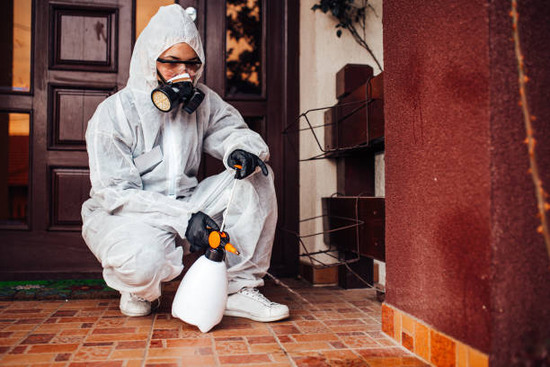 Reliable Wasp Removal contractor in North Manchester, IN by Show Me Pest Control